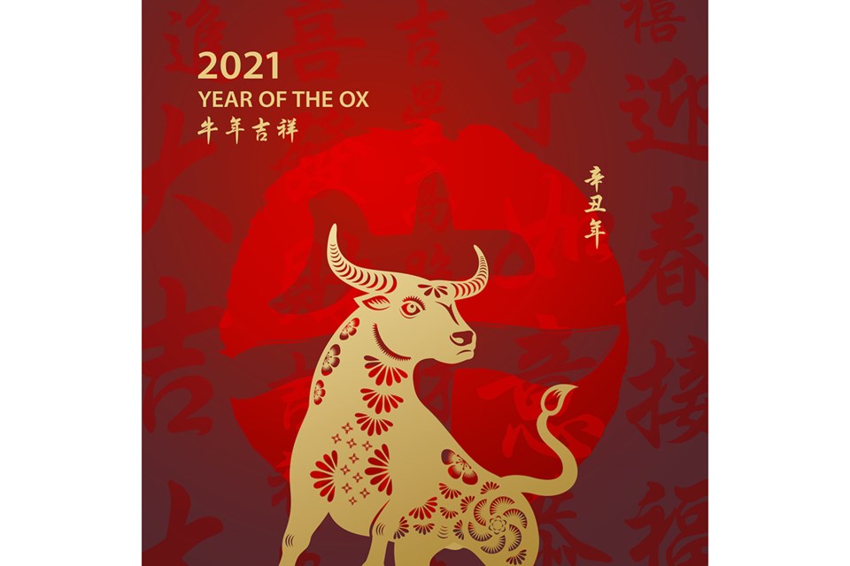 Year of the Ox