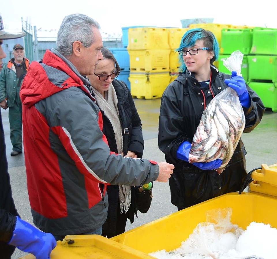 ACT Herring Sale