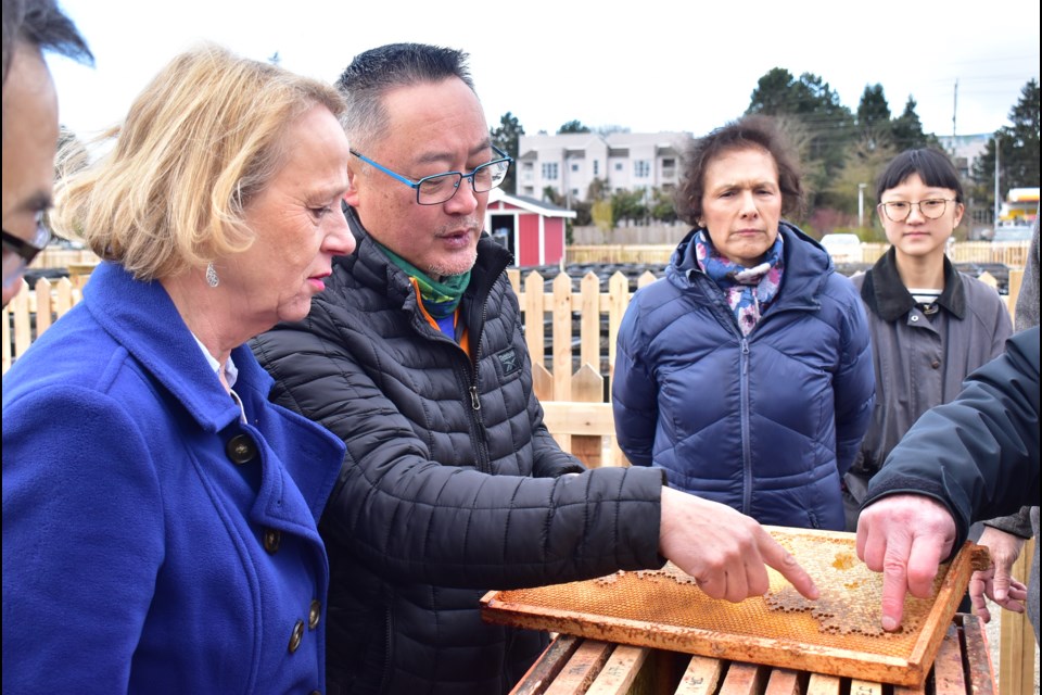 City councillors recently were shown the beehives at the Garden City Lands.