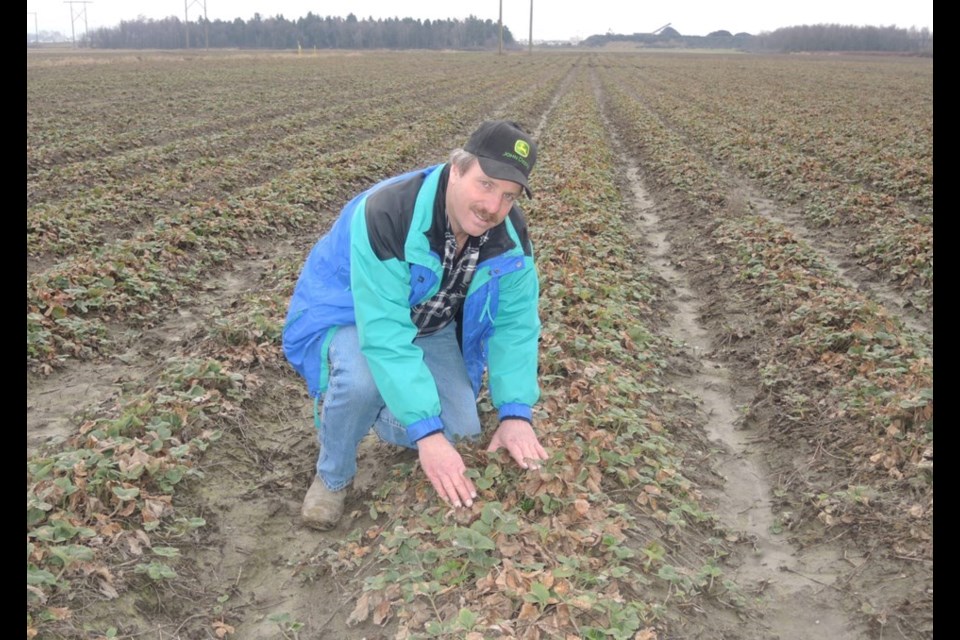 Bill Zylmans, fo W&A Farms in Richmond is warning of higher prices for local produce this summer and fall