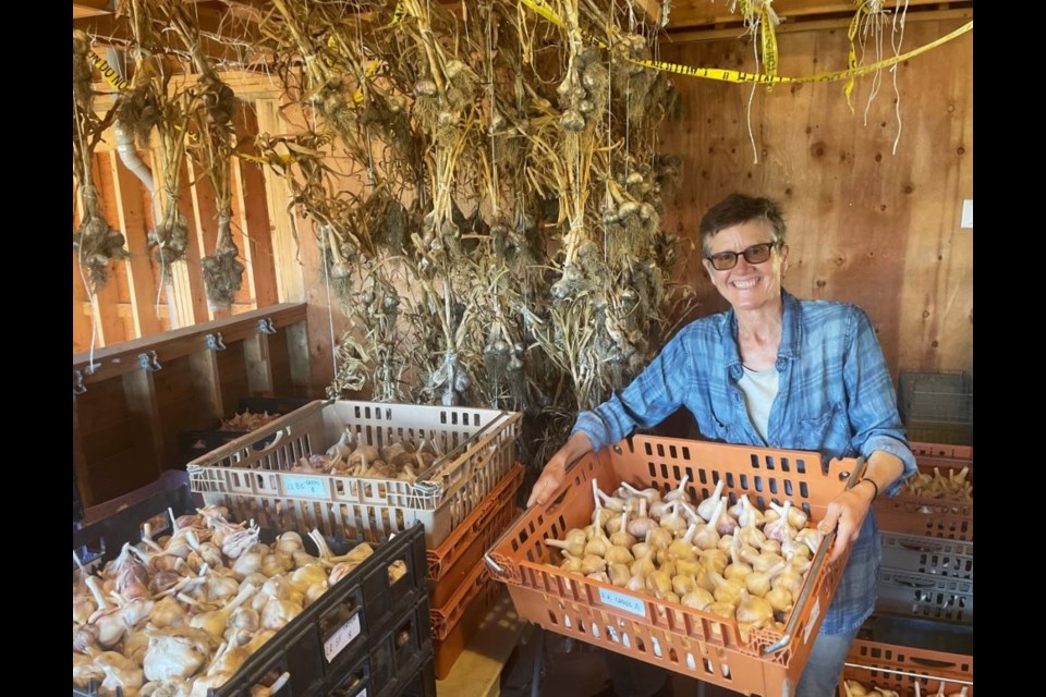 Leslie Williams, executive director of the Sharing Farm, shows some of the garlic that will be for sale at Garlic Fest.