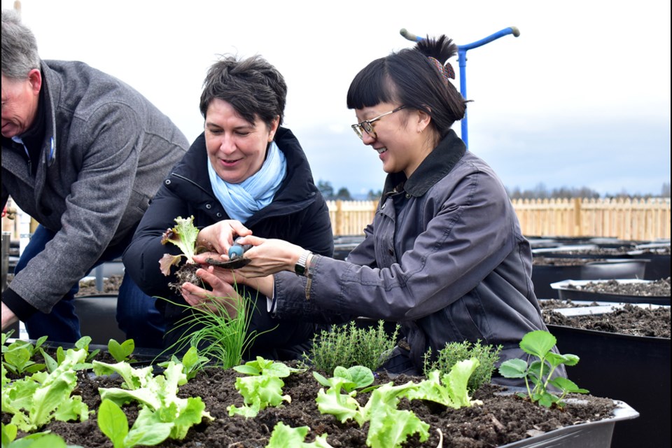 Urban Bounty staff members Grace Augustinowicz and Stephanie Mak were planting vegetables in one of 200 new garden plots at the Garden City Lands.