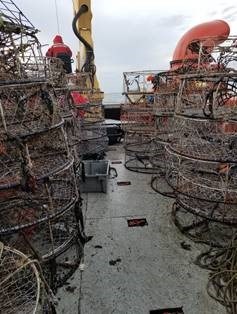 Hundreds of illegal crab traps were seized by Richmond-based fishery officer 