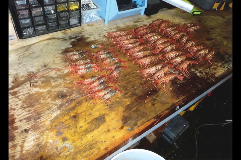A man was fined $16,000 and ordered to forfeit his gear and catch while fishing for prawns in Steveston.