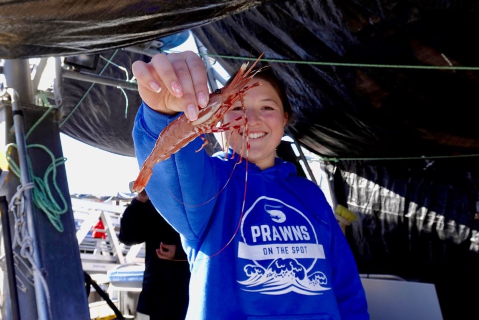 2024-spot-prawns-9