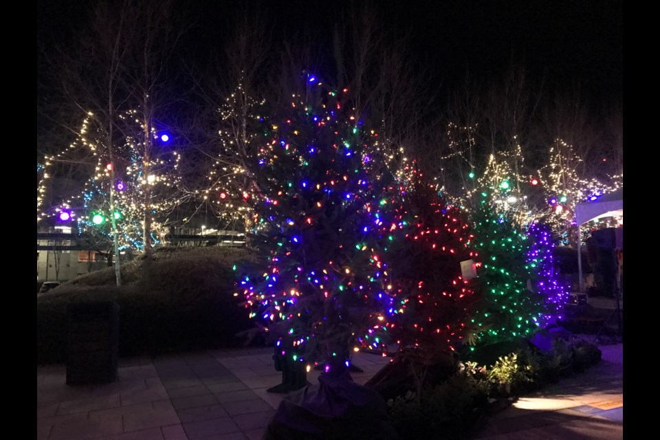 Winter Wonderland tree display at the Richmond City Hall