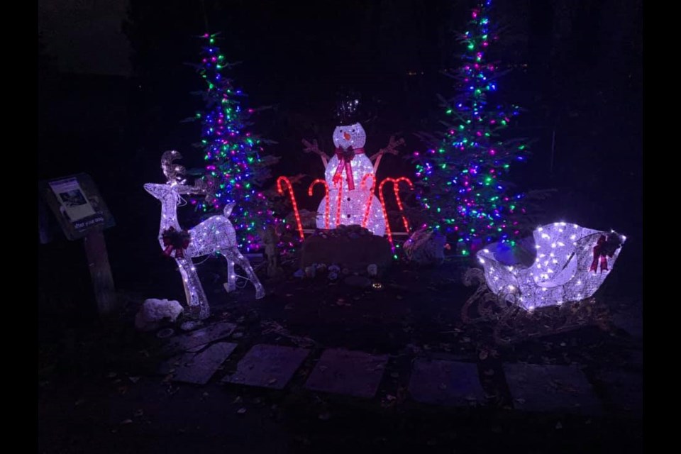 The Dog Gone Rock memorial has been decorated with Christmas lights to celebrate the holidays. Photo: Karina Reid