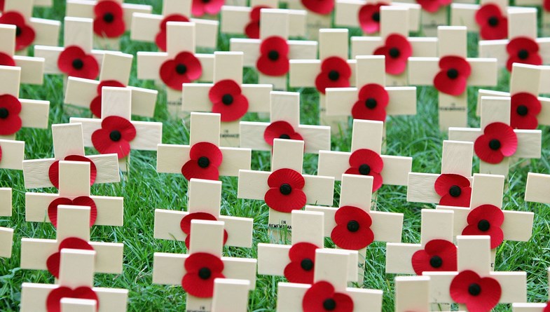 Poppy field