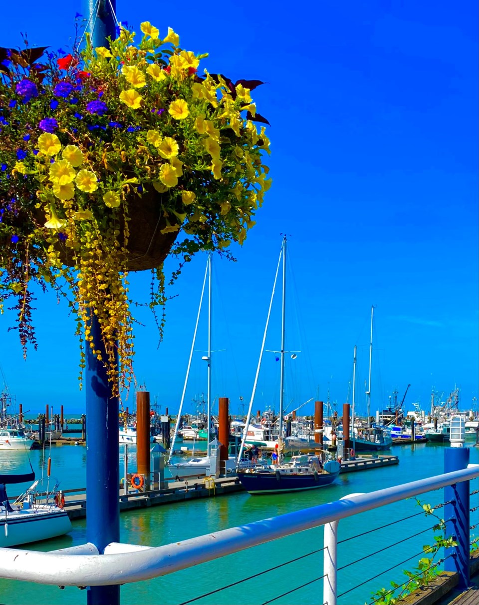 03harbourflowers