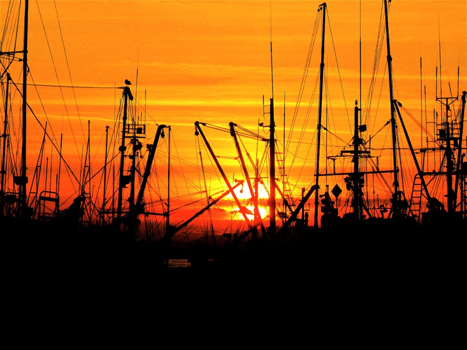 11harboursunset