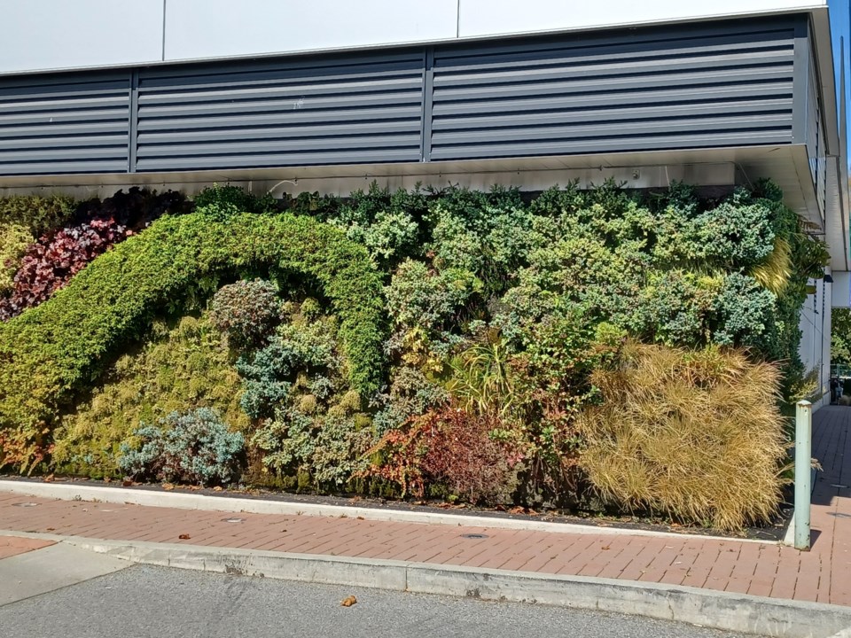 13livingwall