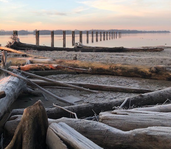 The stunning South Dyke Trail in Richmond