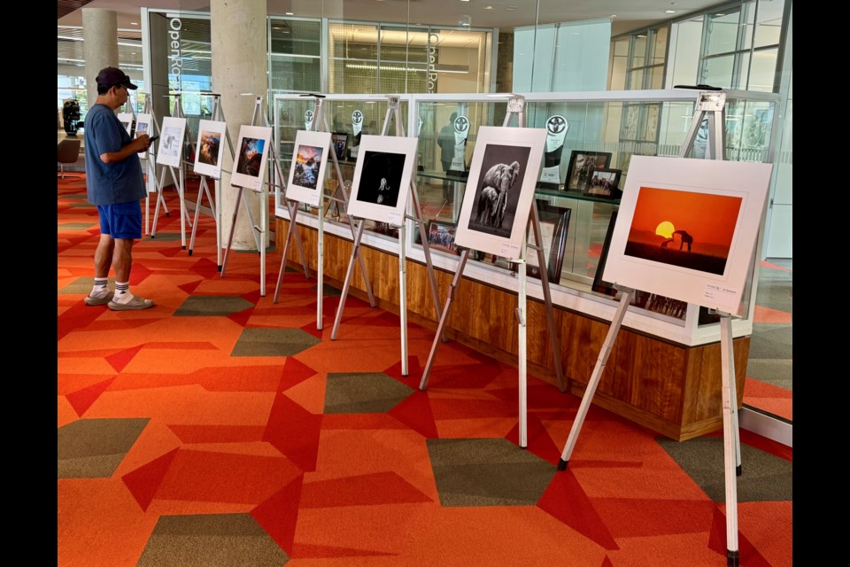 Road to 25 Moments photo exhibition at OpenRoad Toyota Richmond.