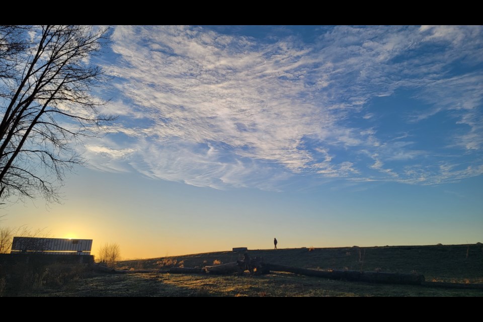 Sunrise at Bark Park.
