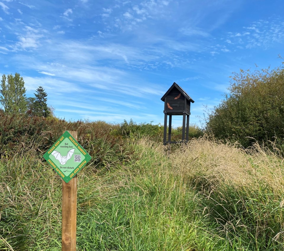 bat condo