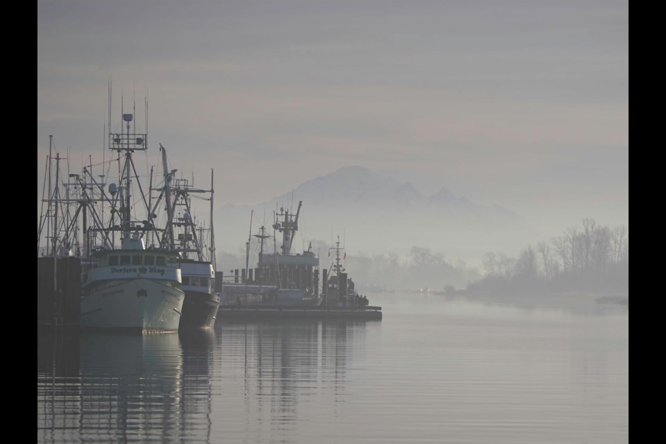 Steveston Harbour fog