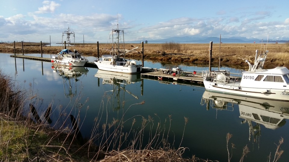 Daily shot of Steveston