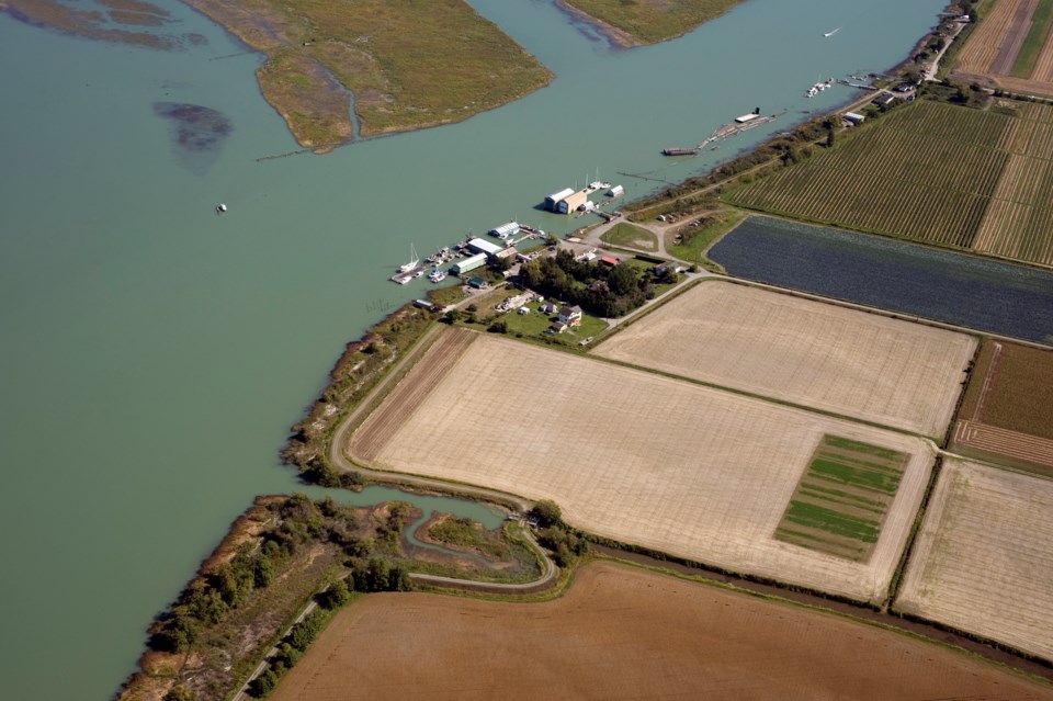 Farmland and Fraser River in Richmond