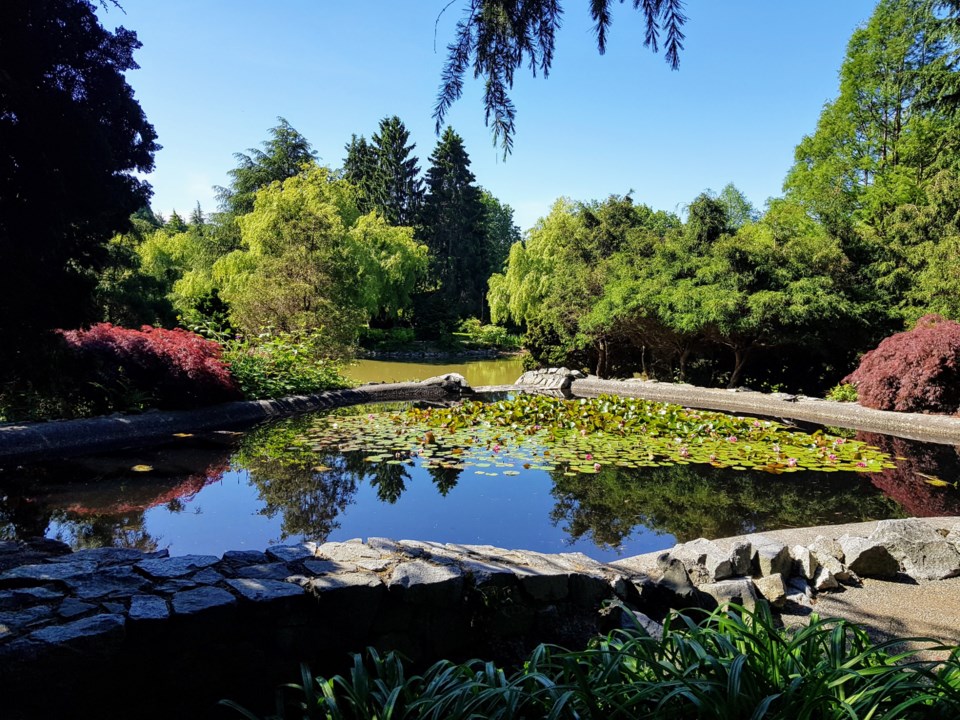 Minoru Park pond