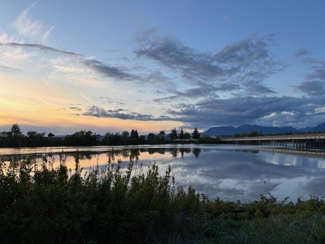 mona-wong-night-sky-on-river-road