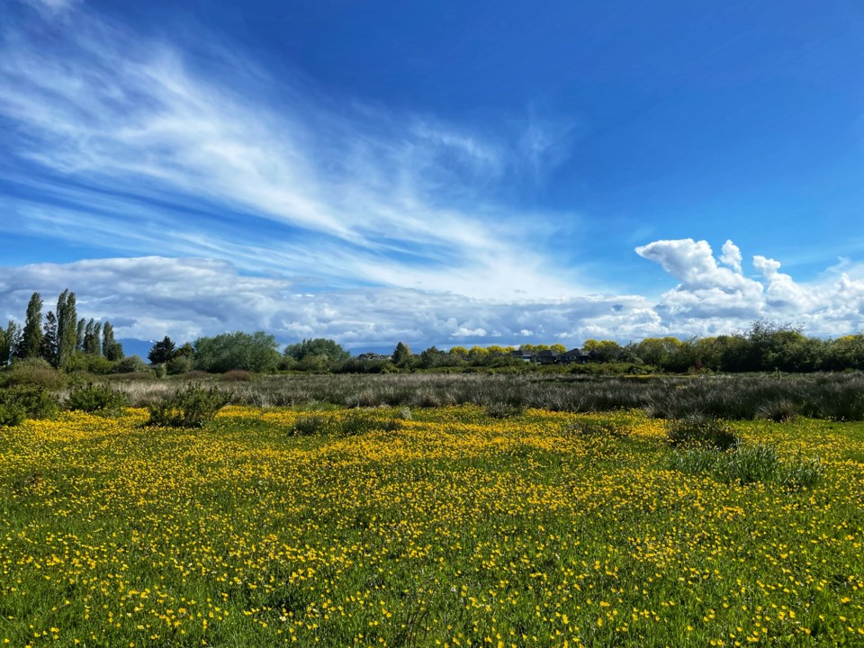 West Dyke Trail in Richmond