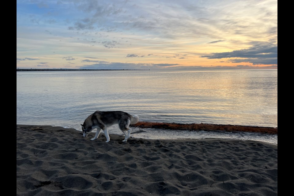 Iona Beach Regional Park.