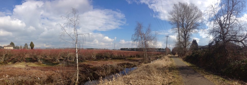 Francis Road Trail