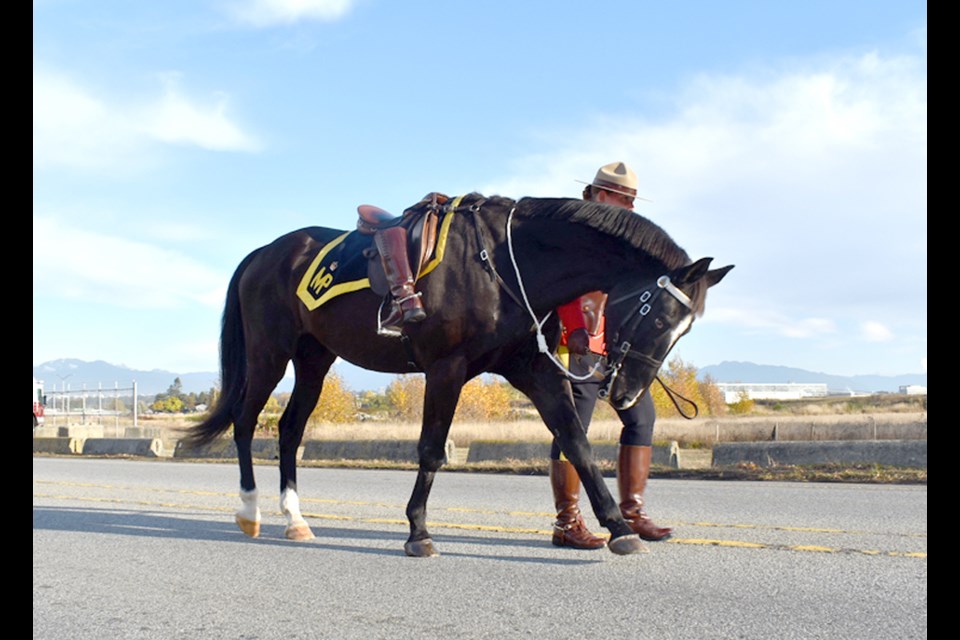 A charger, a riderless horse with a backwards boot, symbolizing the loss of a comrade in arms, was part of the regimental procession for Const. Shaelyn Yang.