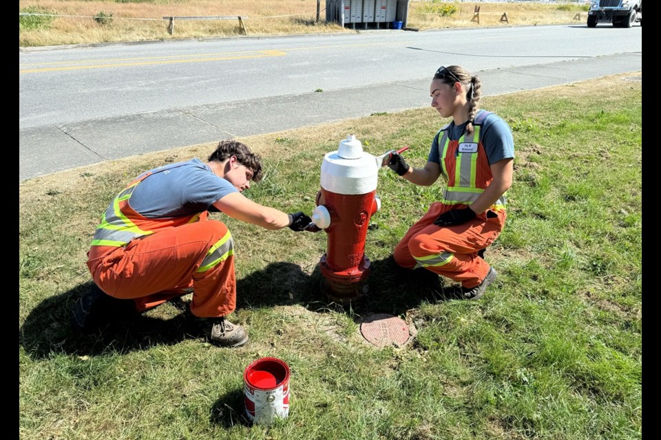 This is Carter Ackerman (left) and Paige Sever's second year working with the City of Richmond during the summer.