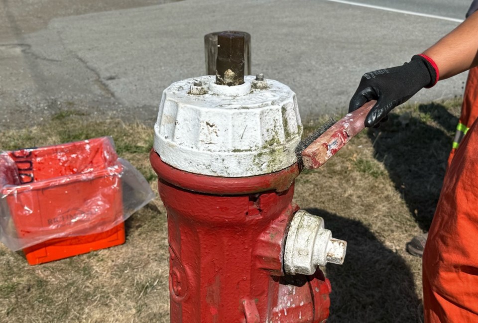 richmond-bc-fire-hydrant-painting
