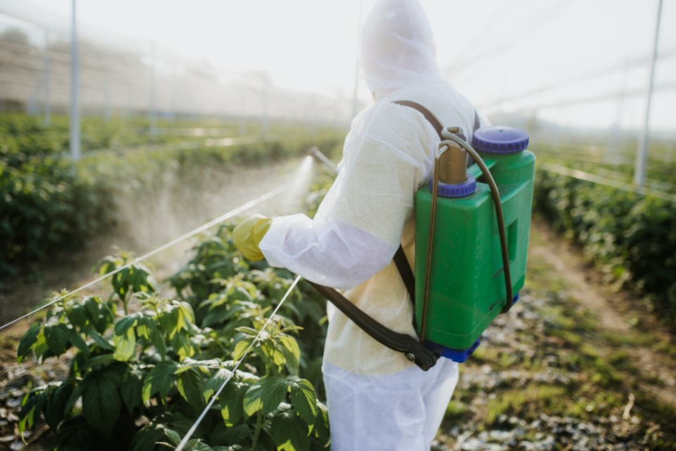 pesticide-spraying
