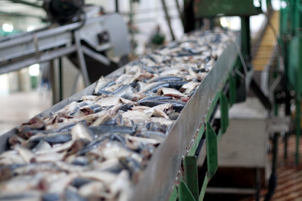 seafood-processing
