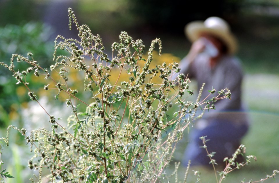 Seasonal allergies