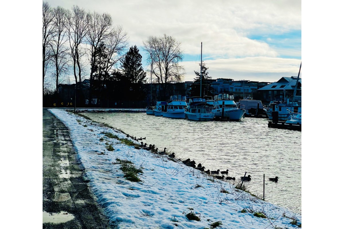 king tide in Richmond, Vancouver, BC Richmond News