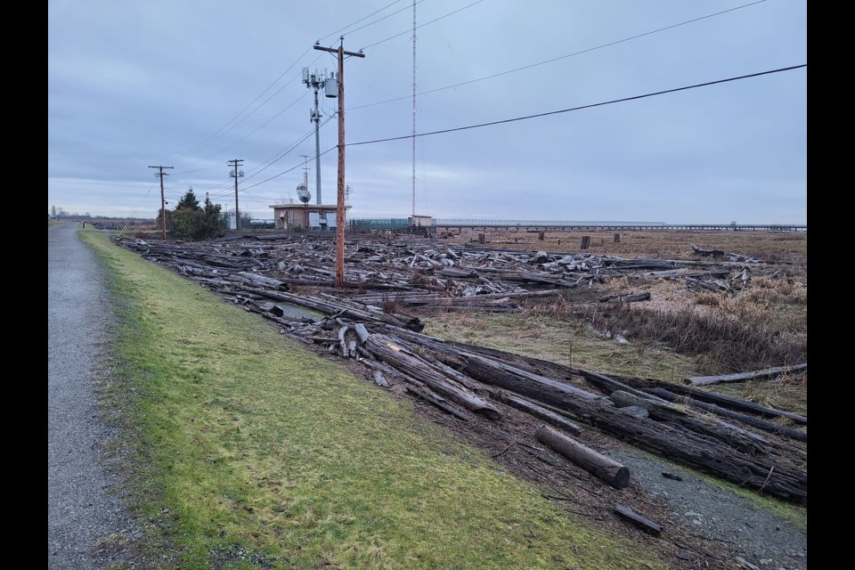 Last week's king tide tried its best to breach the West Dike Trail between Francis and Williams roads