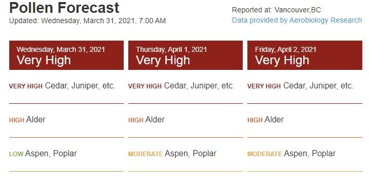 Pollen forecast