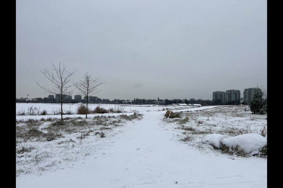 The Garden City Lands turned a shade of white on Tuesday morning