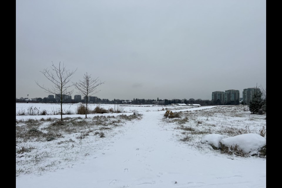 The Garden City Lands turned a shade of white on Tuesday morning