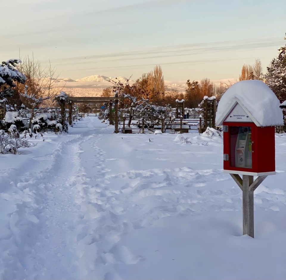 white-christmas-in-vancouver