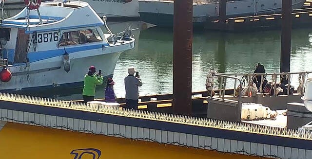These adults were spotted encouraging a young child to get close to a sea lion on the dock at Steveston Harbour recently