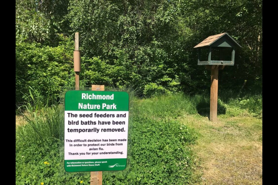Bird seed feeders at Richmond Nature Park have been temporarily removed after two finches died from an unknown illness. (Anabelle Wee) 
