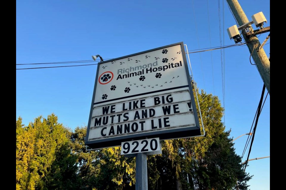 Some great puns were spotted at Richmond Animal Hospital on No. 3 Road on Thursday. Vikki Hui photo 