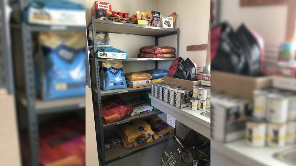 web1_richmond-pet-food-bank_1