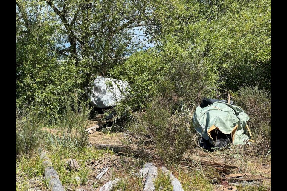 An encampment has emerged along River Road near Vermilyea Court. Vikki Hui photo 