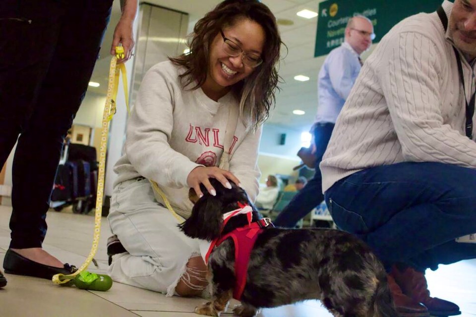 YVR has decided to make its LASI program a permanent fixture. Vikki Hui photo 