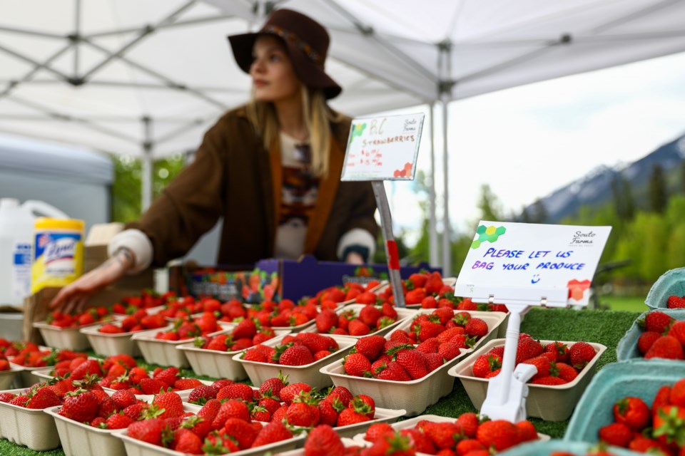 Katlyn Burdenuk of Souto Farms selects a carton of strawberries for a customer at the Banff Farmers Market on Wednesday (June 10). The popular market reopened last week under guidelines established by Alberta Health Services. EVAN BUHLER RMO PHOTO⁠