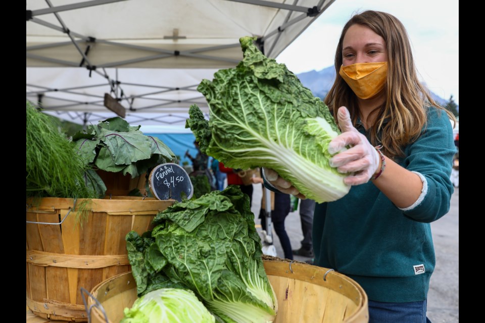 Brooke Williams from the Organic Box selects a head of Napa cabbage for a customer at the Canmore Farmers Market on Thursday (Aug. 13). EVAN BUHLER RMO PHOTO