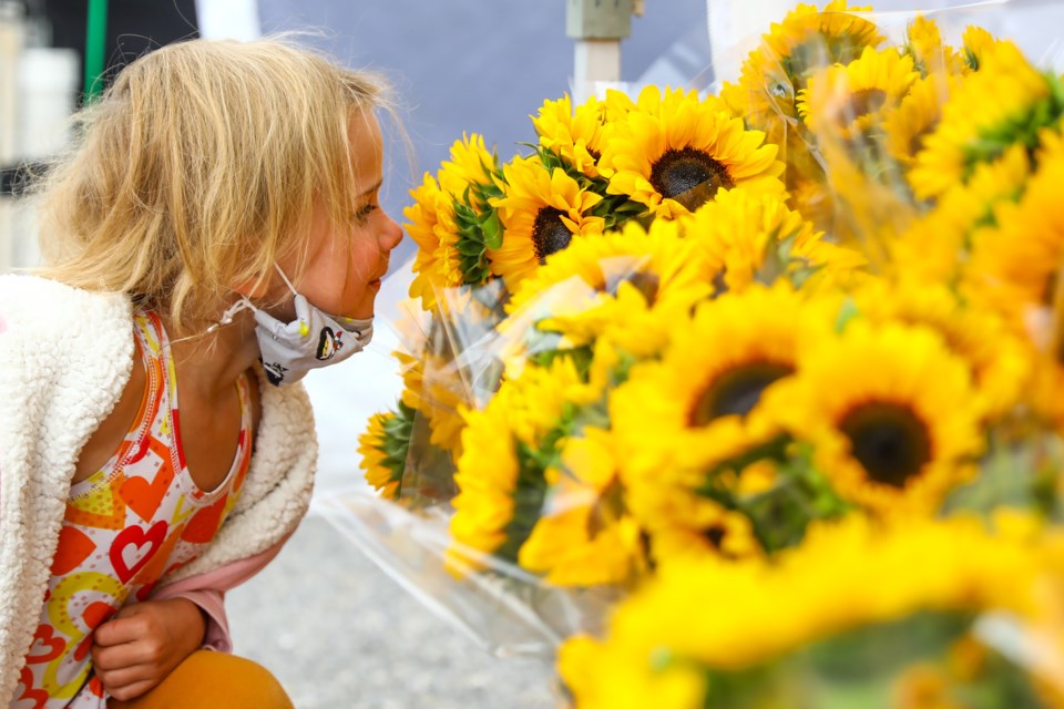 20200813 Canmore Farmers Market 0055