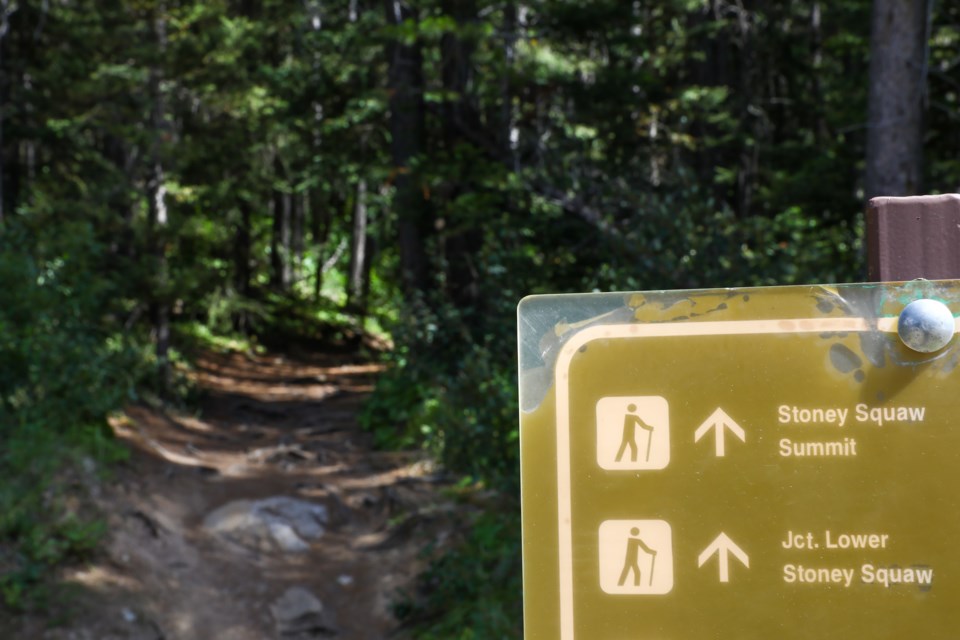 Now known as Upper Stoney Summit. The trailhead on Aug. 15, 2020. EVAN BUHLER RMO PHOTO