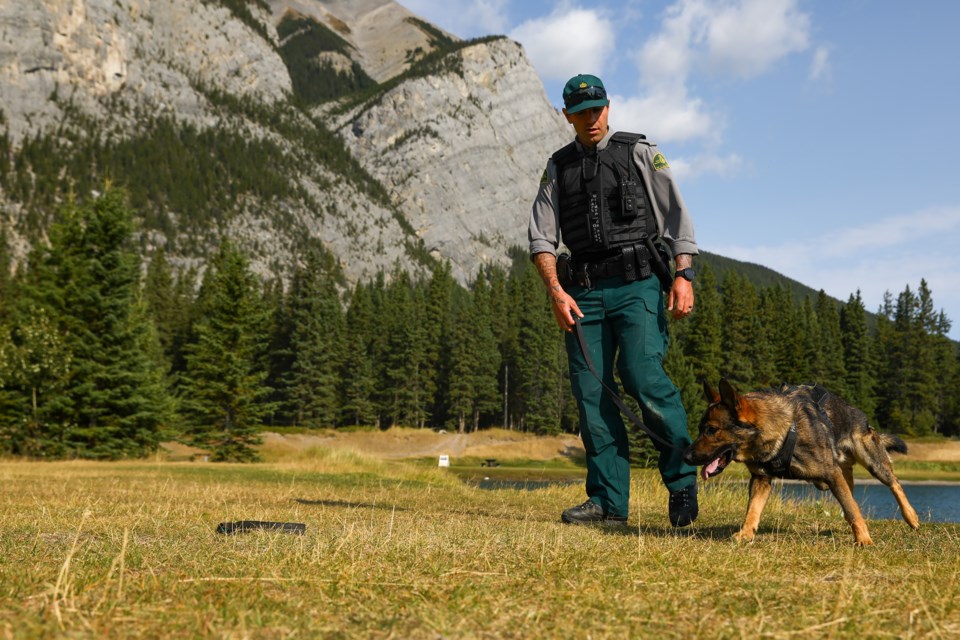 Parks Canada's new dog handler Logan Bennett runs through a set of commands with his professional service dog Leroy on Sept. 4. EVAN BUHLER RMO PHOTO